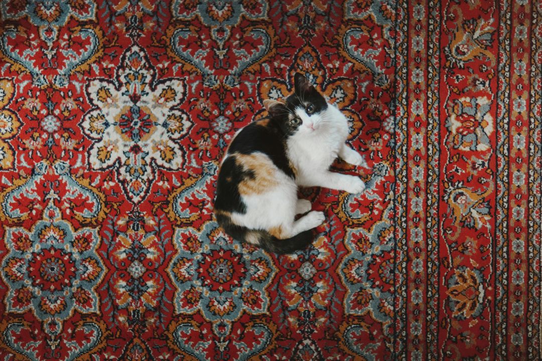 Persian Rugs