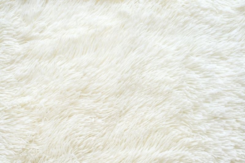 Wool Rugs
