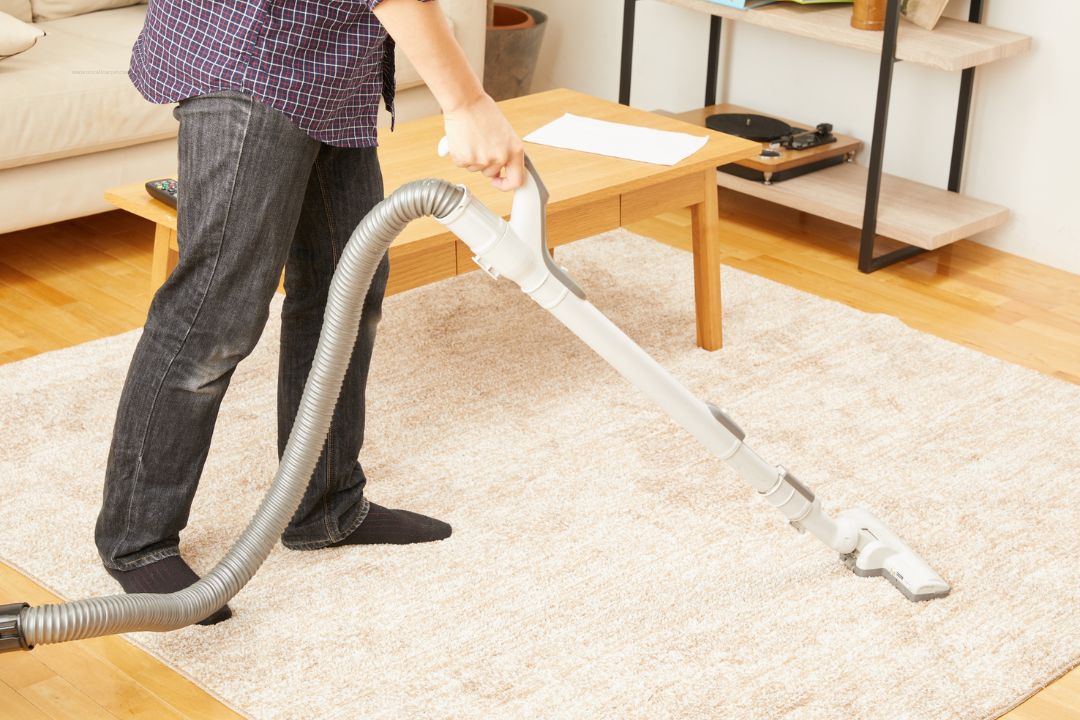 Carpet Cleaning Abbotsford Sydney Same-Day Service