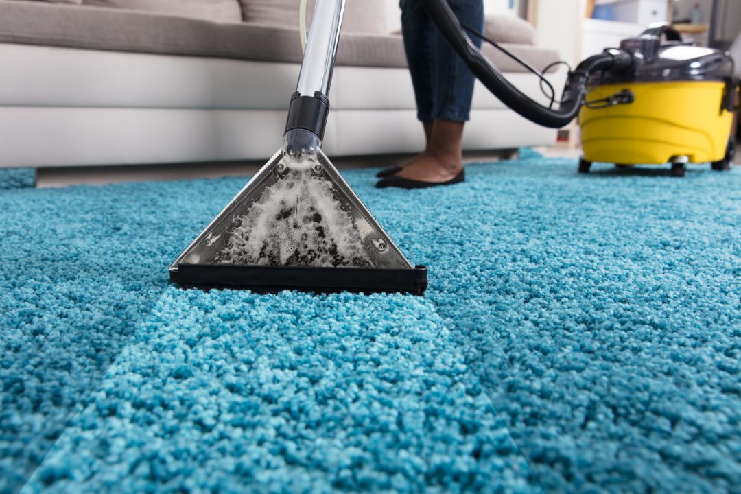 Carpet Cleaning Annandale Sydney Same-Day Service