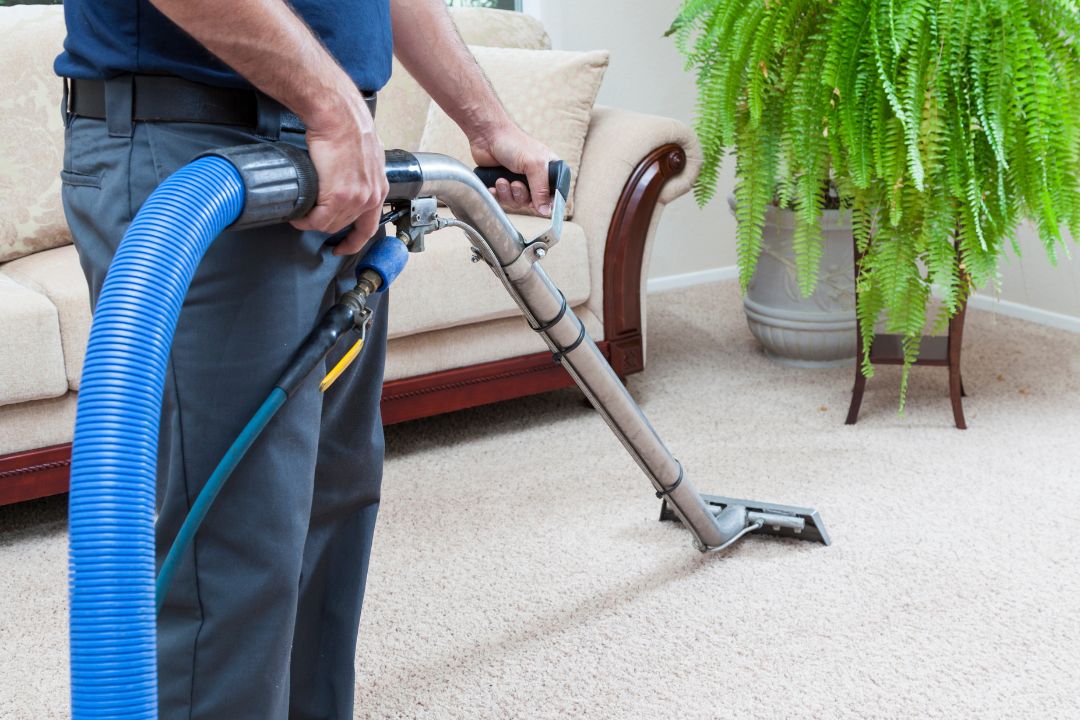 Carpet Cleaning Ashbury Sydney Same-Day Service