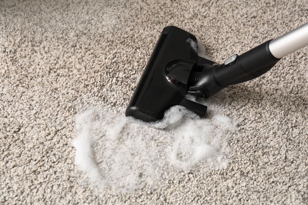 Carpet Cleaning Balmain Sydney Steam Clean Experts