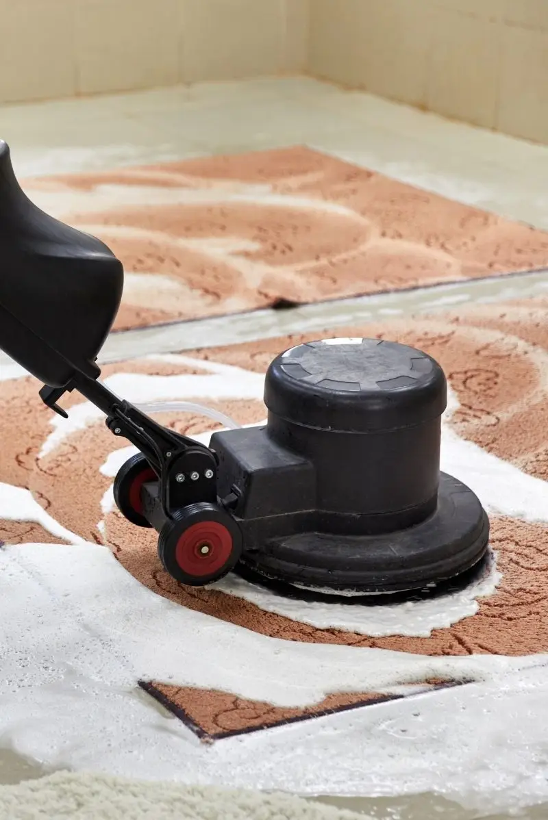 All our carpet cleaning services in Bronte