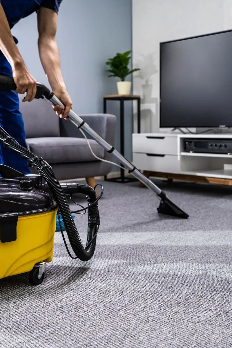 All our carpet cleaning services in North Bondi