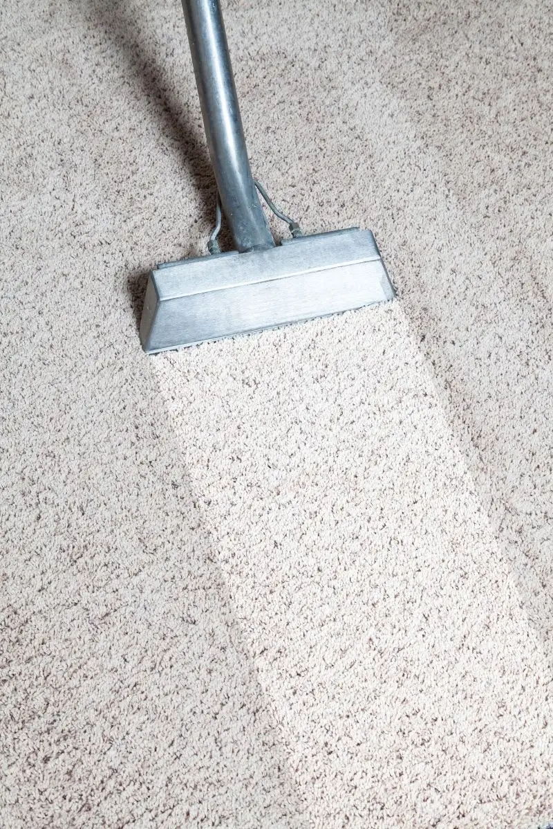 All our carpet cleaning services in Randwick