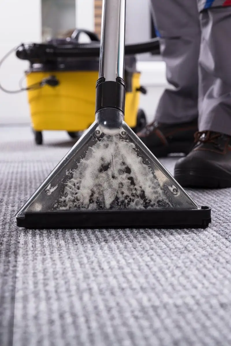 All our carpet cleaning services in Tamarama
