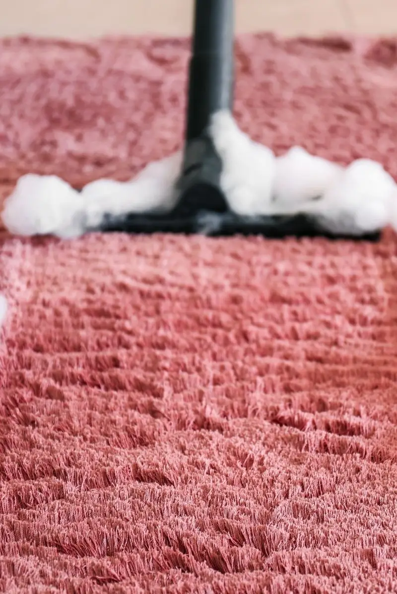 All our carpet cleaning services in Waverley