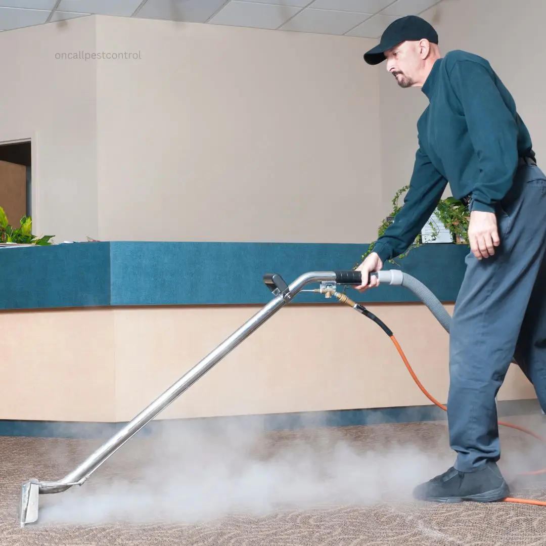 Carpet Cleaning Bondi Junction On Call Carpet Cleaning