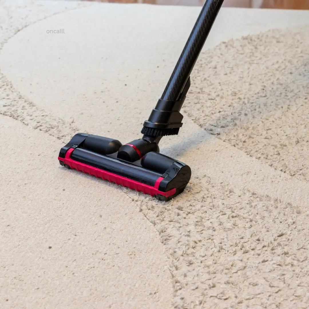 Carpet Cleaning Bronte