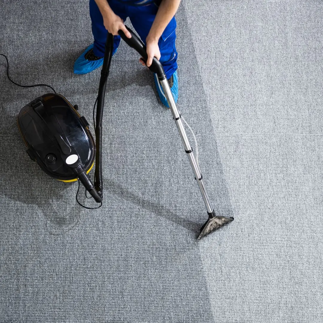 Carpet Cleaning Clovelly On Call Carpet Cleaning