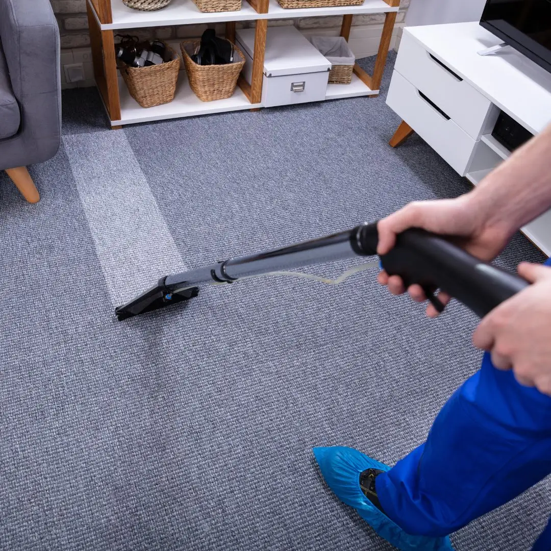 Carpet Cleaning Coogee On Call Carpet Cleaning