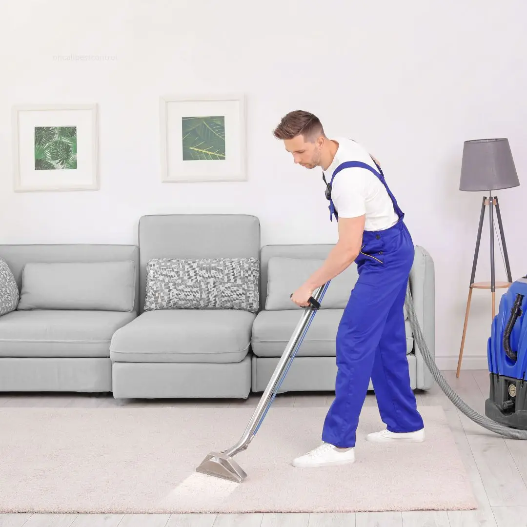 Carpet Cleaning Dover Heights On Call Carpet Cleaning