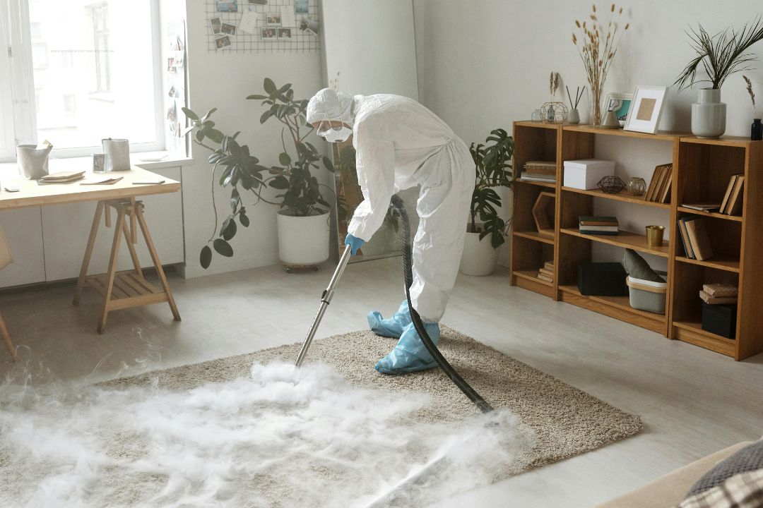 Carpet Cleaning Edgecliff
