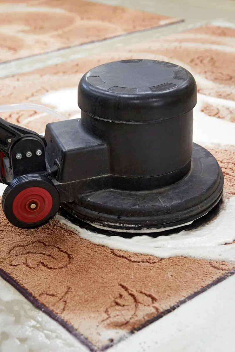 Carpet Cleaning North Bondi On Call Carpet Cleaning