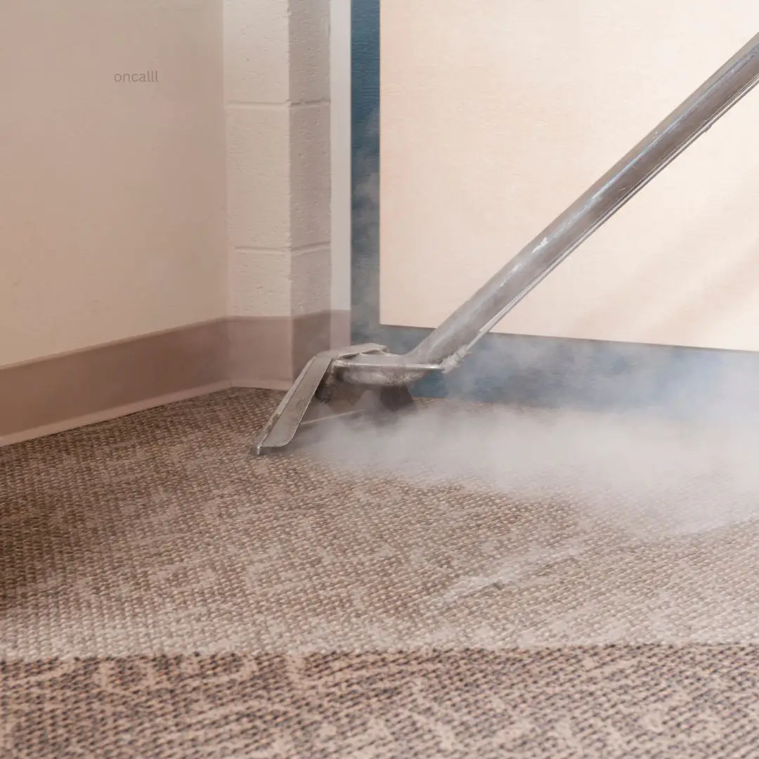 Carpet Cleaning Queens Park On Call Carpet Cleaning