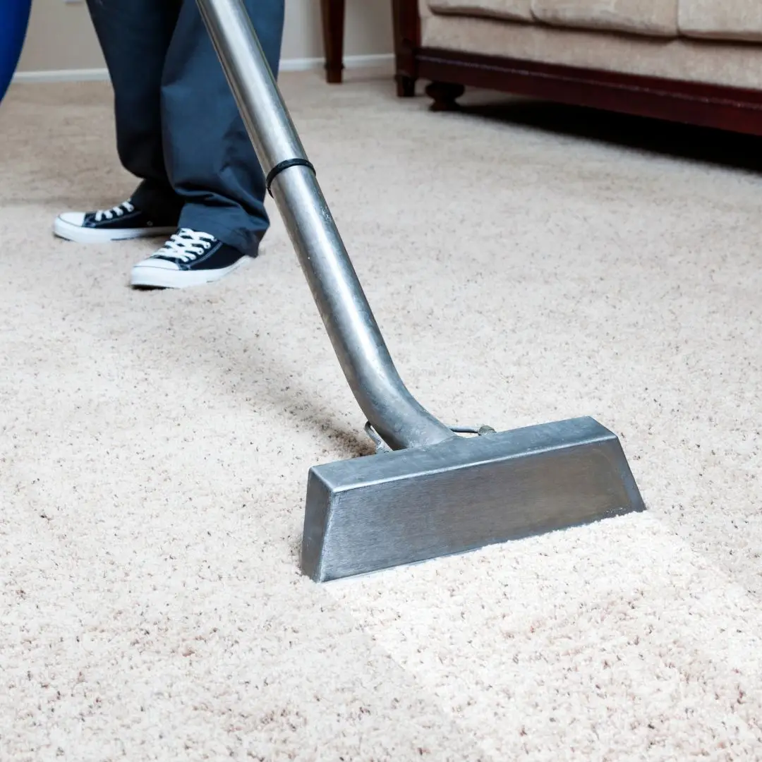 Carpet Cleaning Rose Bay