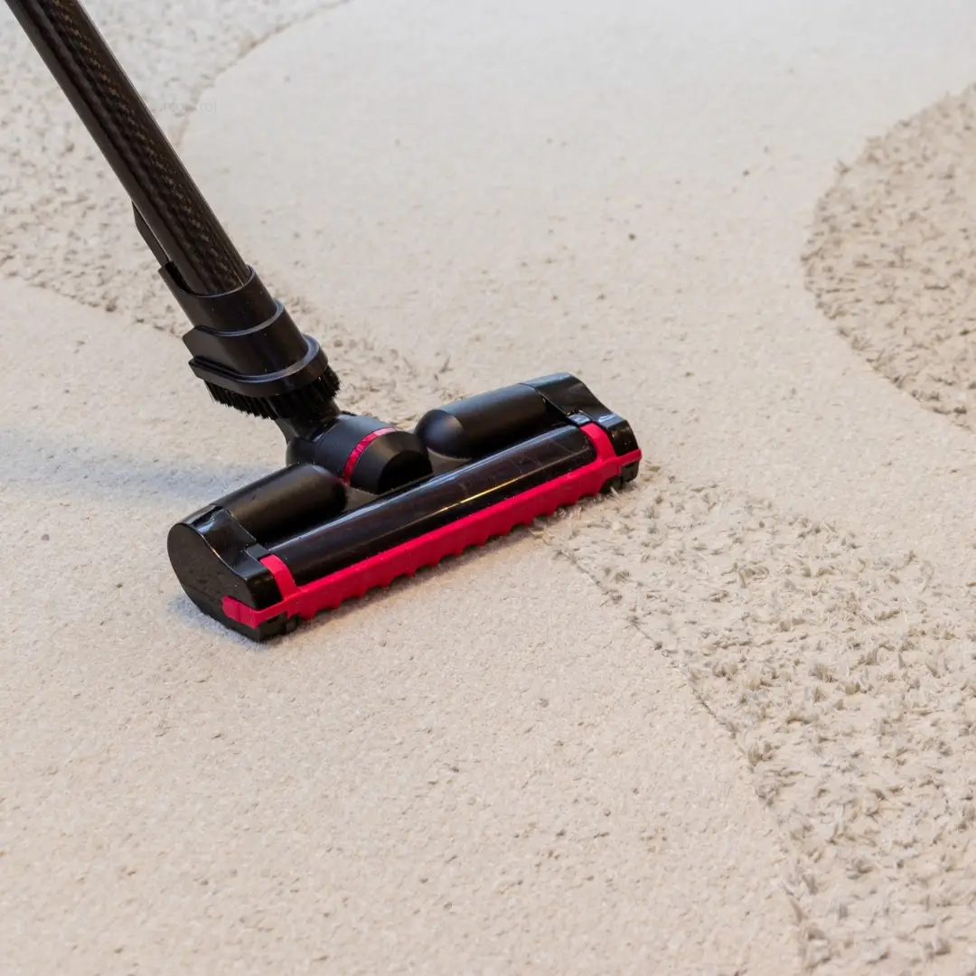 Carpet Cleaning Vaucluse On Call Carpet Cleaning