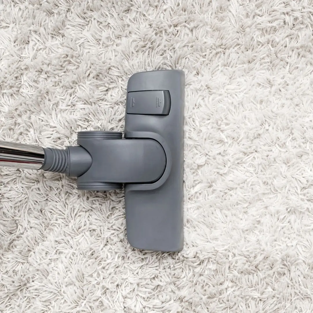 Carpet Cleaning Woollahra On Call Carpet Cleaning