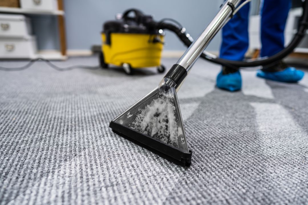 Carpet cleaning built for Darling Point homes