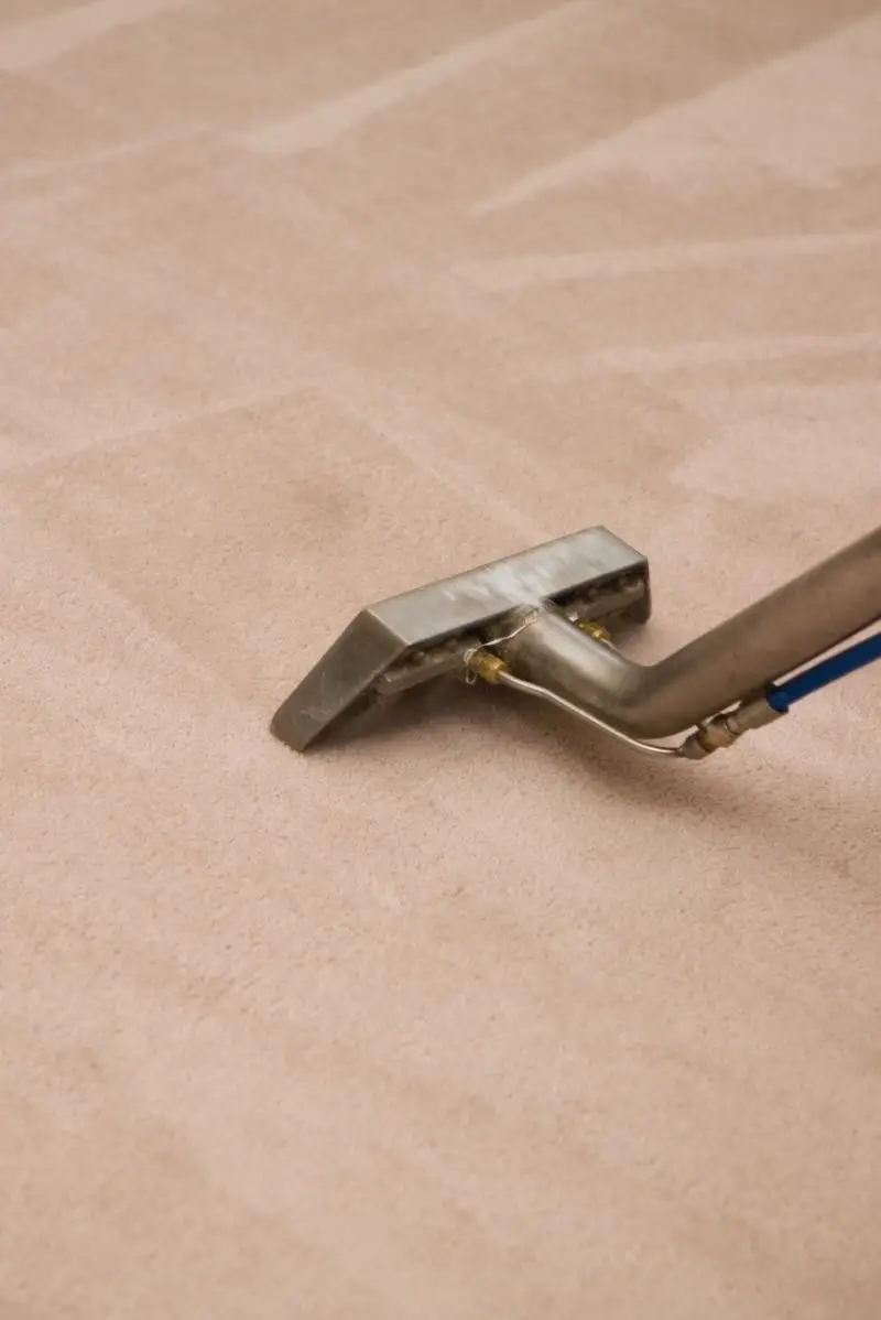 Carpet cleaning built for Waverley homes