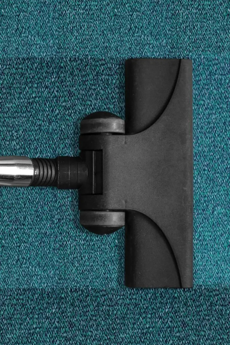 Cleaning Built Around How Double Bay Works