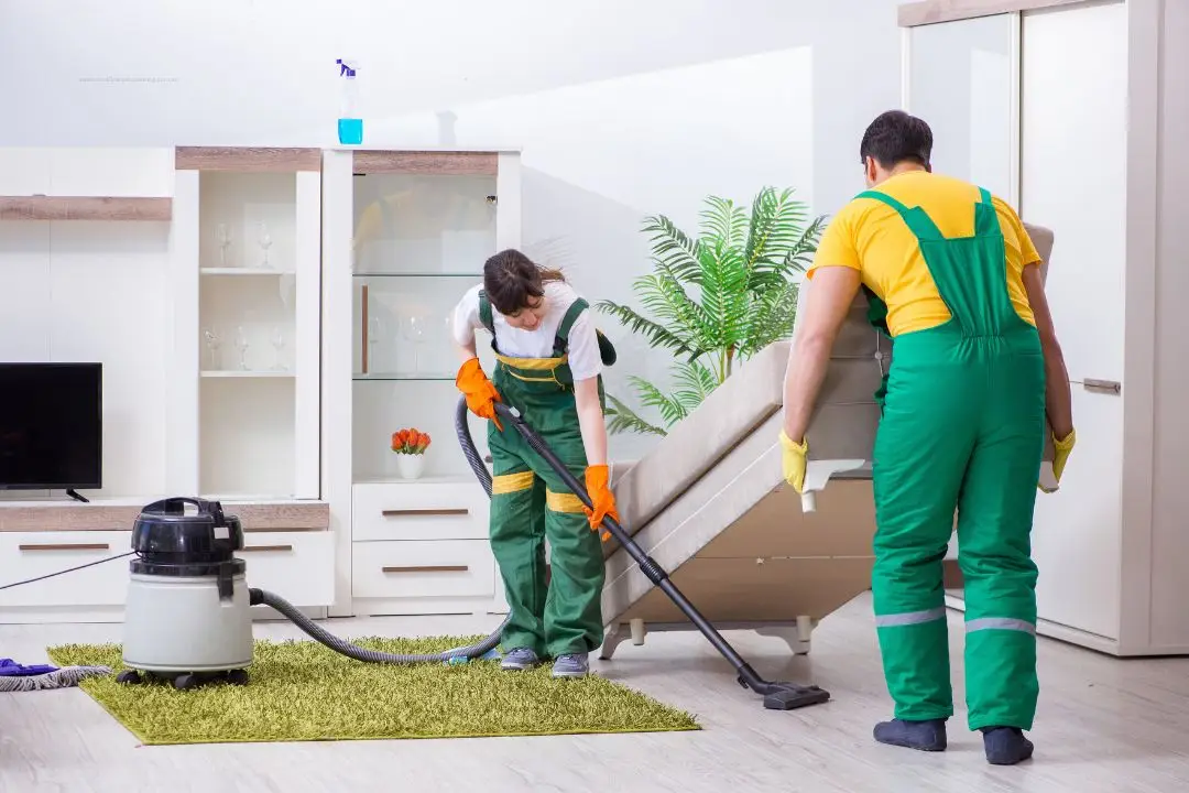 Cleaning Built Around How Point Piper Lives
