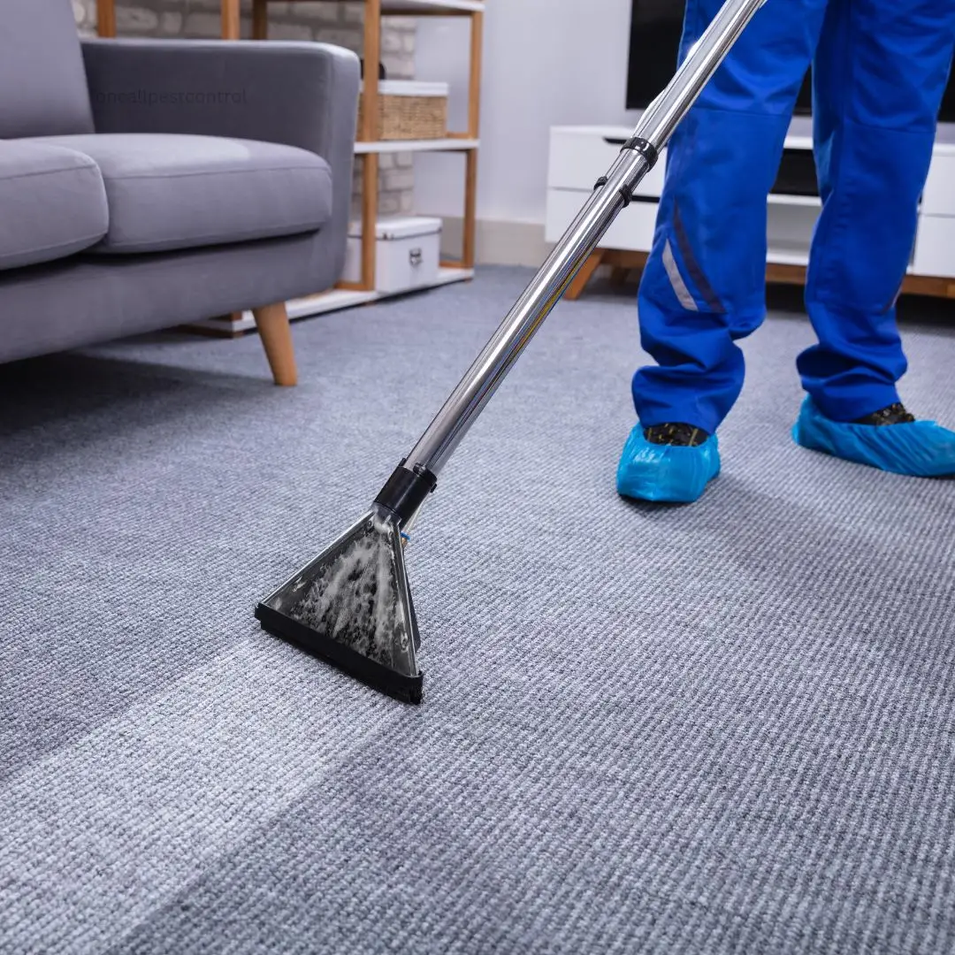 How Much Does Carpet Cleaning Cost in Sydney 2026 Price Guide