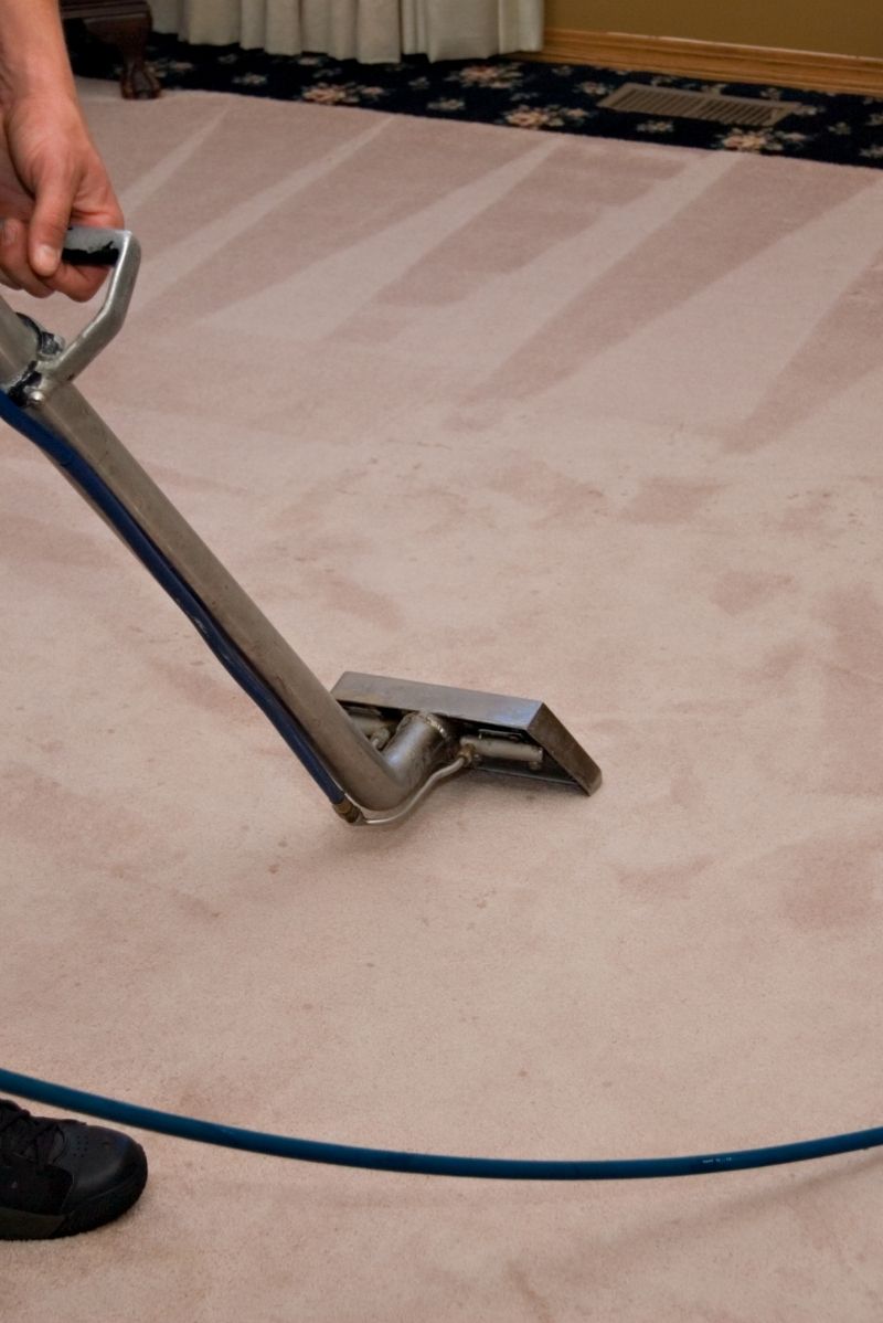 Why Eastern Suburbs carpets need a specialist approach